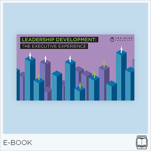 Leadership Development: The Executive Experience