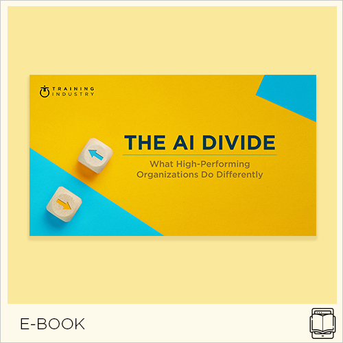 The AI Divide: What High-Performing Organizations Do Differently