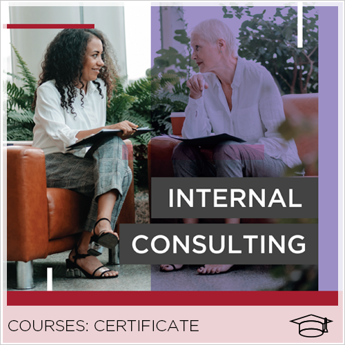 Internal Consulting Certificate