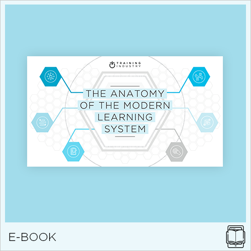 Anatomy of the Modern Learning System