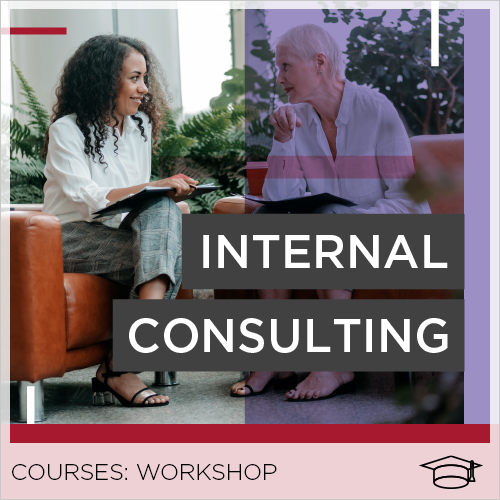 Beyond Implementation: Internal Consulting Workshop
